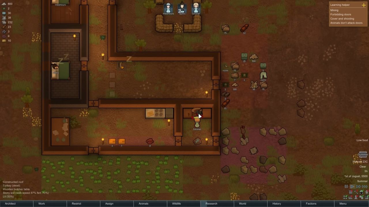 Rimworld Leathery Stranger Details