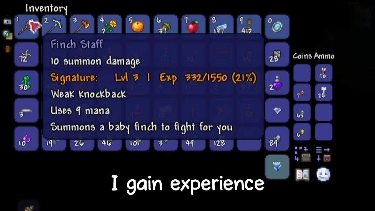 Signature Equipment Terraria